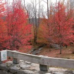 New Hampshire